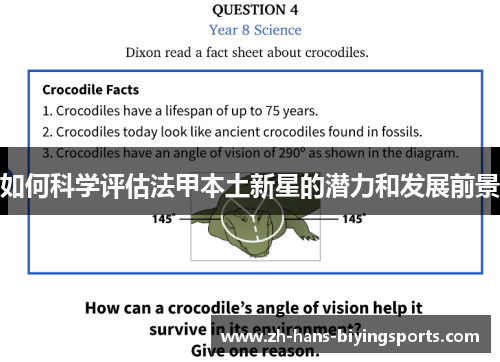 如何科学评估法甲本土新星的潜力和发展前景