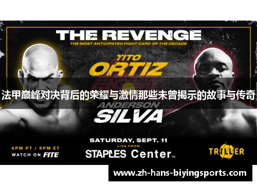 法甲巅峰对决背后的荣耀与激情那些未曾揭示的故事与传奇