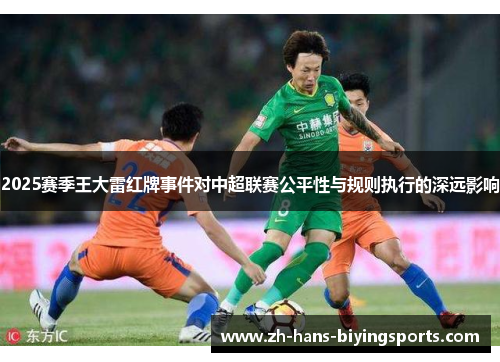 2025赛季王大雷红牌事件对中超联赛公平性与规则执行的深远影响