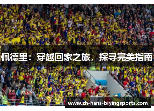 佩德里：穿越回家之旅，探寻完美指南