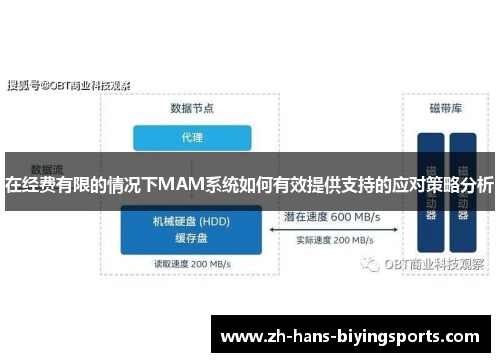 在经费有限的情况下MAM系统如何有效提供支持的应对策略分析