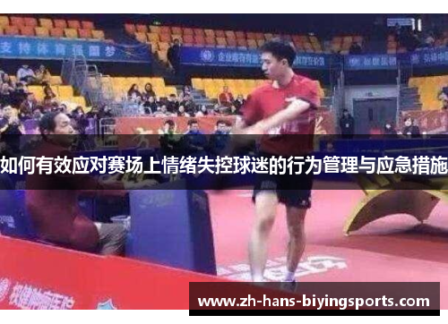 如何有效应对赛场上情绪失控球迷的行为管理与应急措施
