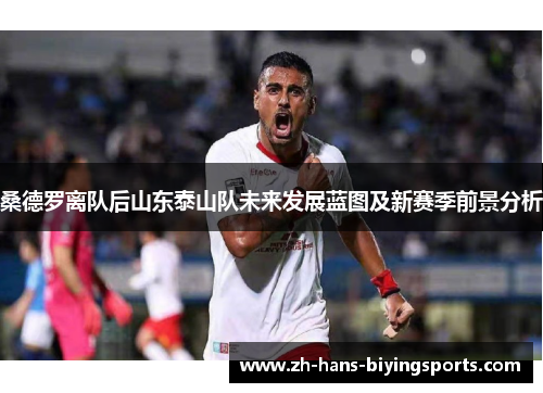 桑德罗离队后山东泰山队未来发展蓝图及新赛季前景分析