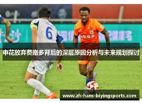 申花放弃费南多背后的深层原因分析与未来规划探讨