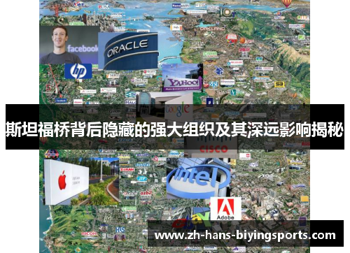 斯坦福桥背后隐藏的强大组织及其深远影响揭秘