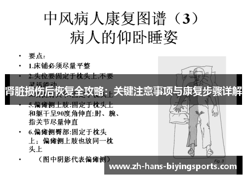 肾脏损伤后恢复全攻略：关键注意事项与康复步骤详解