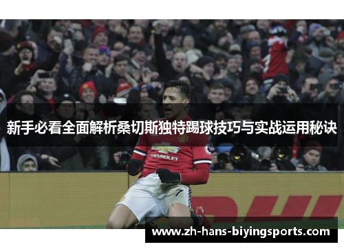 新手必看全面解析桑切斯独特踢球技巧与实战运用秘诀