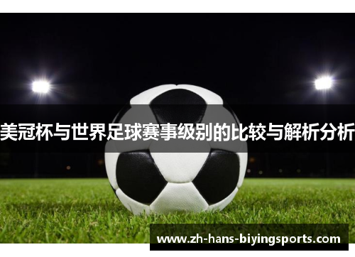 美冠杯与世界足球赛事级别的比较与解析分析