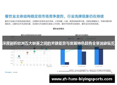 深度剖析欧洲五大联赛之间的关键差异与发展特色趋势全景洞察纵览